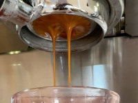 바링고빈스 정관점