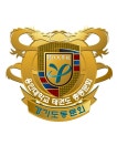 용인대효태권도