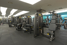 제임스짐휘트니스