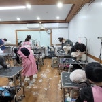쿨펫애견미용학원 수원점