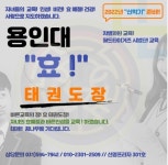 용인대효태권도