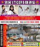 영웅KTIGERS태권도 2관신관