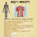 백피부관리 접시다이어트