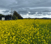 예전공인중개사사무소