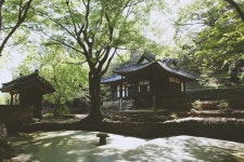 스테이보성