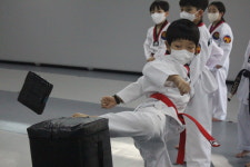 판교KTIGERS태권도