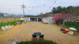마당에서놀자멍