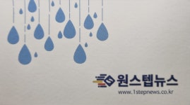 원스텝뉴스
