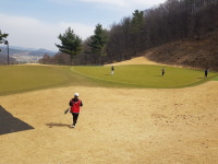 캐디버디아카데미