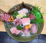 사조회참치