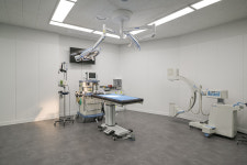 24시 우리들동물메디컬센터