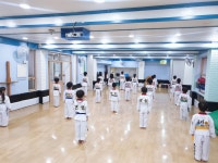 보성태권도