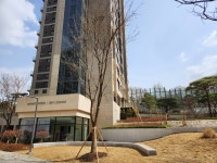 개포자이수정부동산중개
