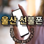 울산선불폰선불유심당일개통