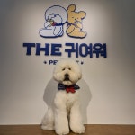 더귀여워 애견카페
