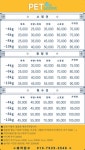 펫살롱