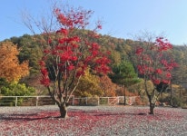 덕동히든밸리캠프펜션