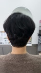 반헤스헤어