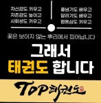 TOP태권도