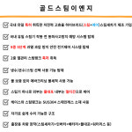 골드스팀이엔지