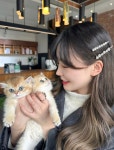 파라다이스펫 강아지분양 고양이분양 대전 본점