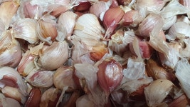 지리산채담빛농원