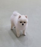 뽀독 시흥정왕점