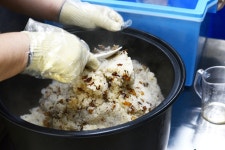 병아리김밥 호원롯데캐슬점