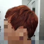 반헤스헤어