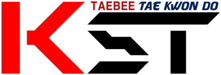 KST태비태권도