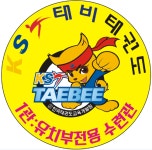 KST태비태권도