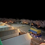 꿈꾸는캠핑장