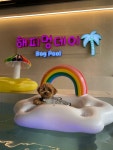 해피멍데이 애견카페