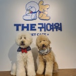더귀여워 애견카페