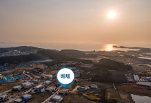 비채35
