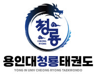 용인대 청룡 태권도