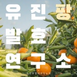 하경발효연구소 | 유진팡발효연구소