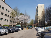 압구정단지내강남공인중개사사무소