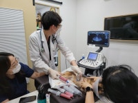 이솝동물메디컬