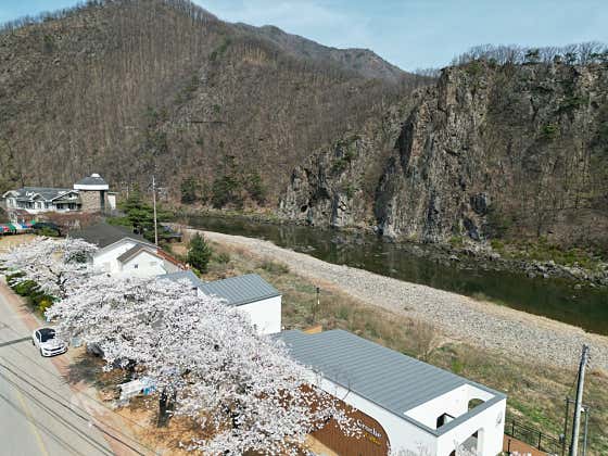 그로체 사진