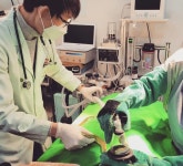 이솝동물메디컬