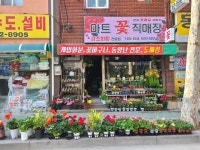 마트꽃직매장