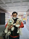 개좋은날