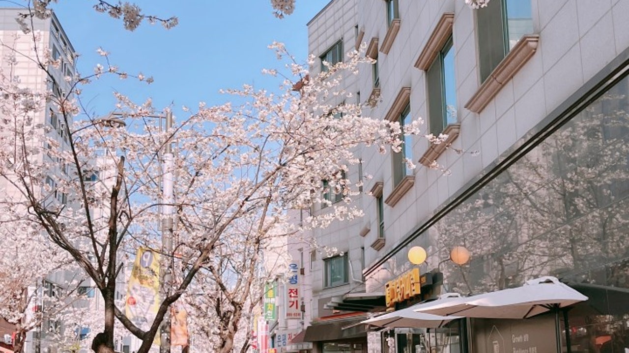 그릿커피랩 신림점