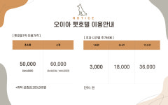 도하디앤씨