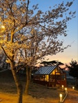 이숲
