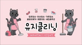 유지클리닝