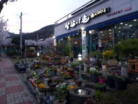 참살이촌