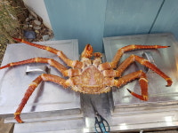 대성수산 대게직판점 창원점