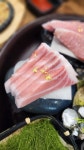 도담참치&스시